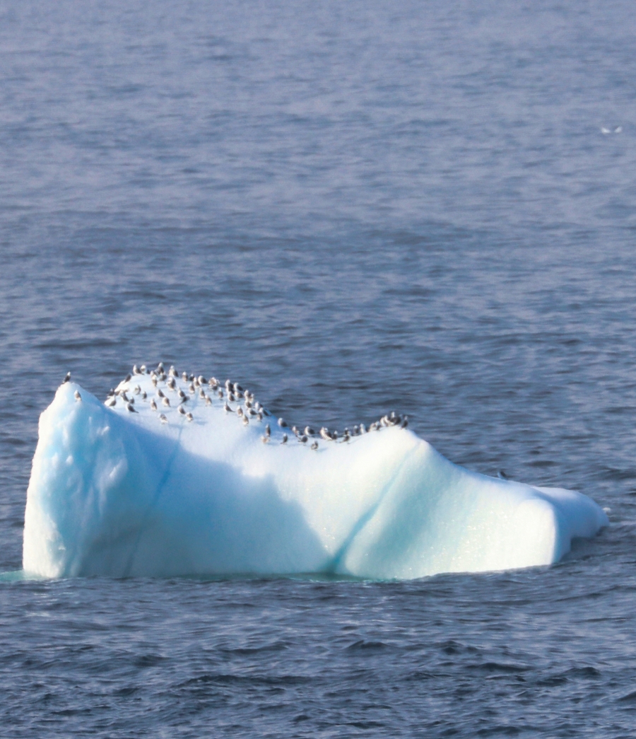 Nuuk Fjord